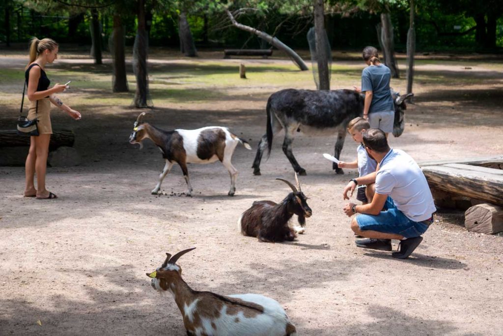 Le Parc Friedel à Illkirch permet de voir des animaux